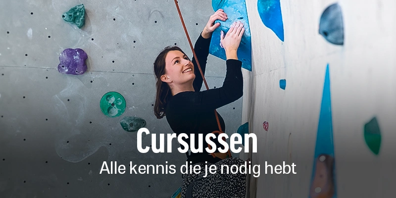 Cursussen